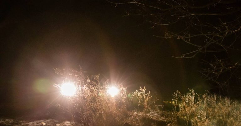 The Best Spot Light For Deer In 2023: Uncover The Perfect Illumination For Your Next Hunting Trip!