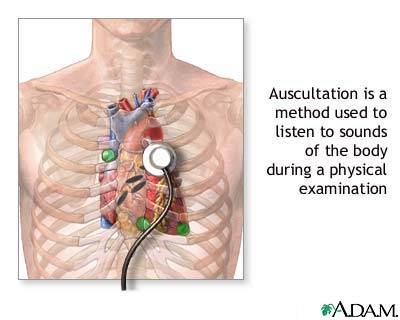 Unlock Cardiology Mastery: The Best Stethoscope Picks For Heart And Lung Sounds In 2023