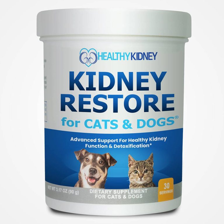 2023’S Best Supplement For Kidney Disease In Dogs: What You Need To Know