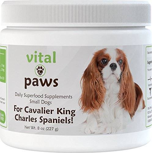 2023 Buyer’S Guide: The Best Supplements For Cavalier King Charles Spaniels