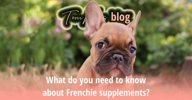 2023: The Ultimate Guide To The Best Supplements For Frenchies