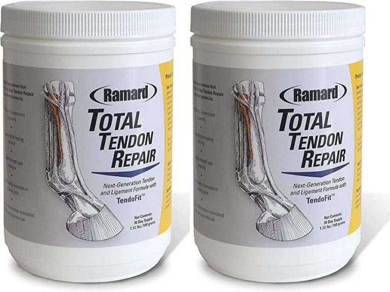 2023’S Top 10 Supplements To Strengthen Your Tendons And Reduce Injury Risk