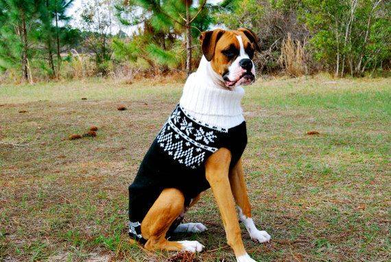 2023’S Must-Have Fashions: The Top 10 Sweaters For Boxer Dogs!