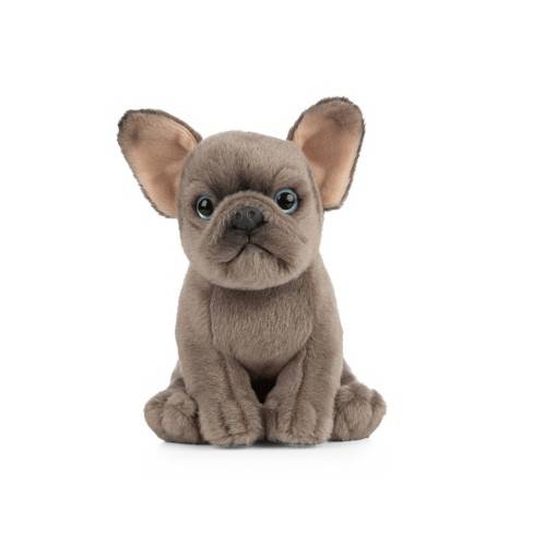 2023’S Must-Have Toys: The Best Gifts For French Bulldog Puppies