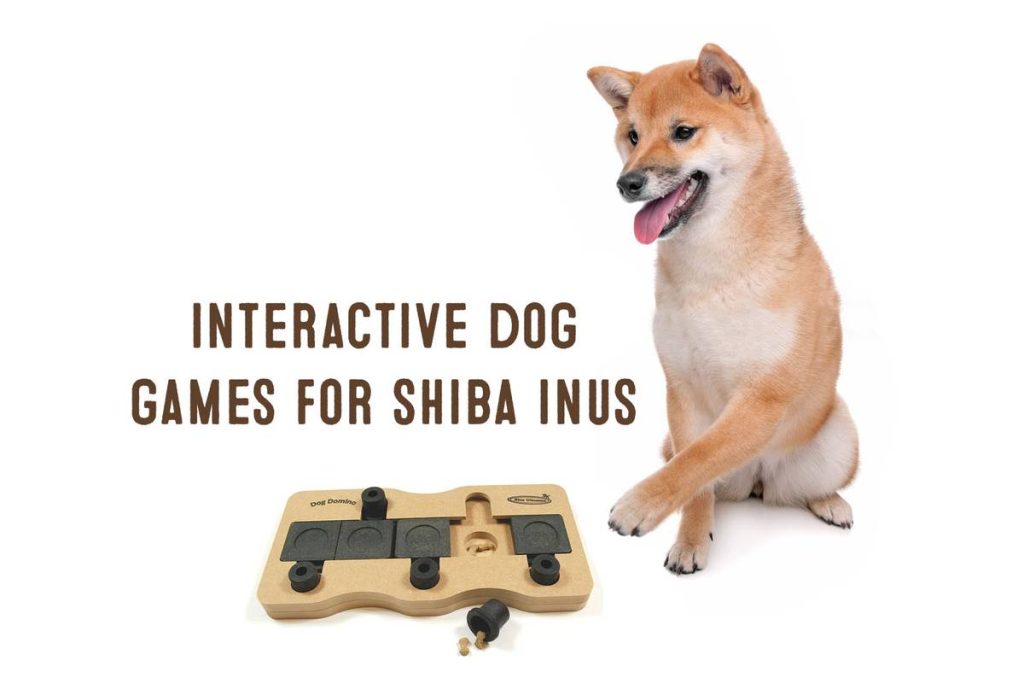 2023'S Top Toys For Your Adorable Shiba Inu - Get Ready For Plenty Of ...