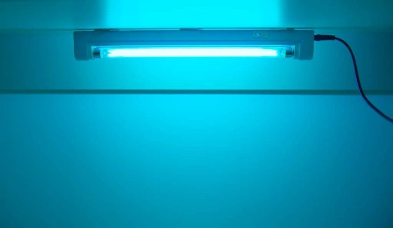 Discover The Top Uv Light For Killing Mold In 2023: The Ultimate Guide!