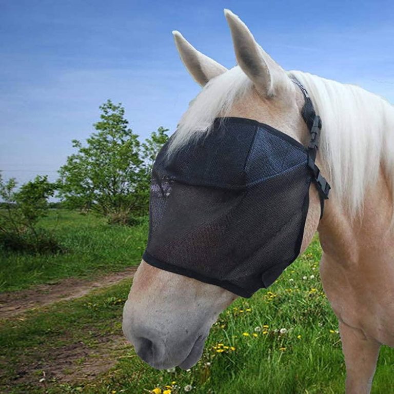 2023’S Best Uv Protection Fly Mask For Horses: The Ultimate Buyer’S Guide