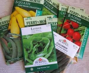 2023’S Top 10 Vegetable Seeds For Hydroponics: Maximize Yields With These Proven Picks