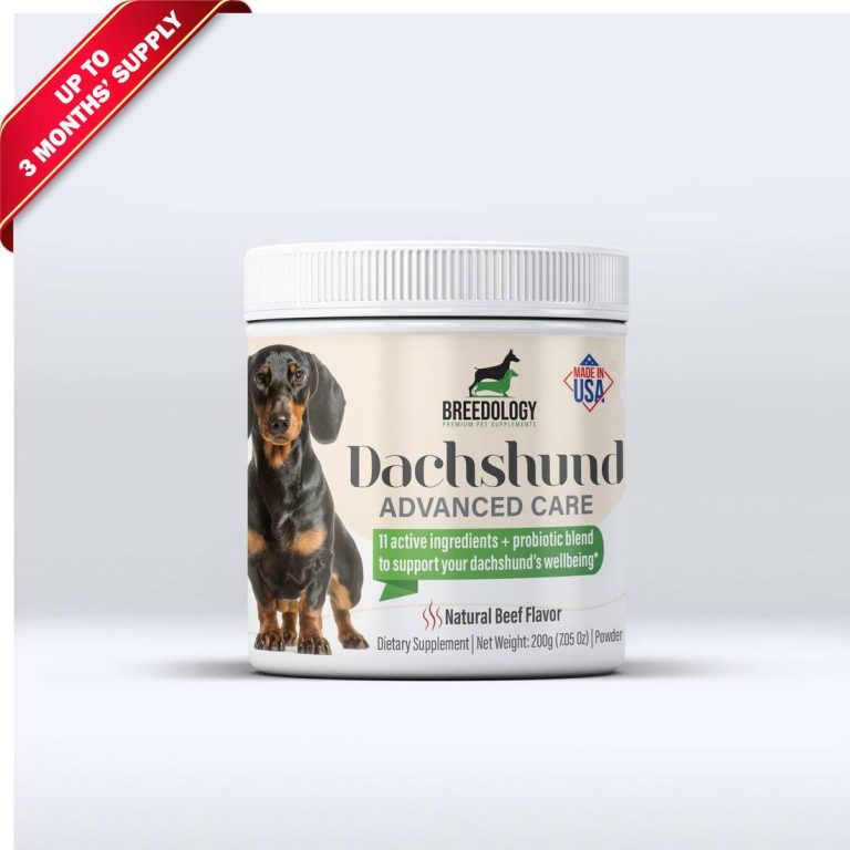 2023 Guide: Discover The Best Vitamins For Your Dachshund Puppy’S Health