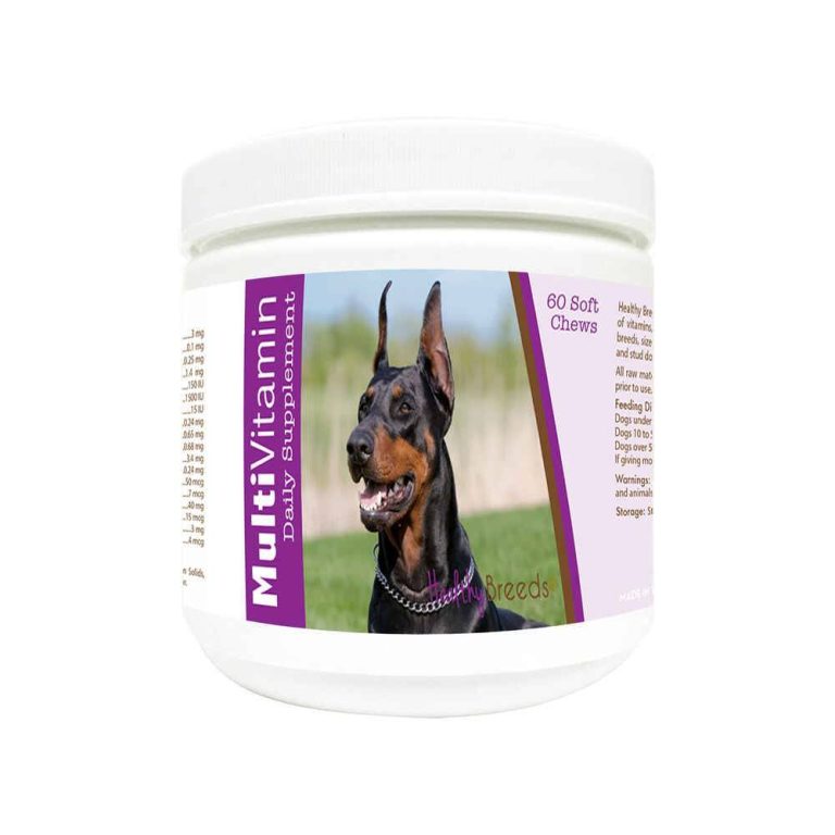 2023’S Must-Have Vitamins For Doberman Dogs: Keep Your Pet Healthy And Vital!