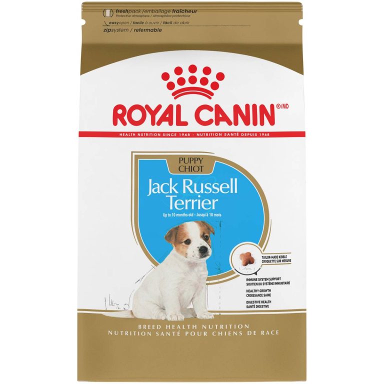 2023’S Top-Rated Dog Food For Jack Russells: Find The Perfect Nutrition For Your Pooch!