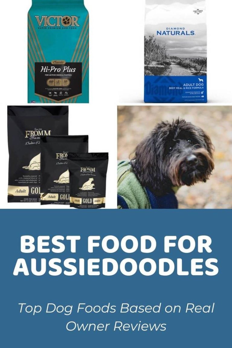 2023’S Top Picks: The Best Dog Food For Mini Aussiedoodle Puppies