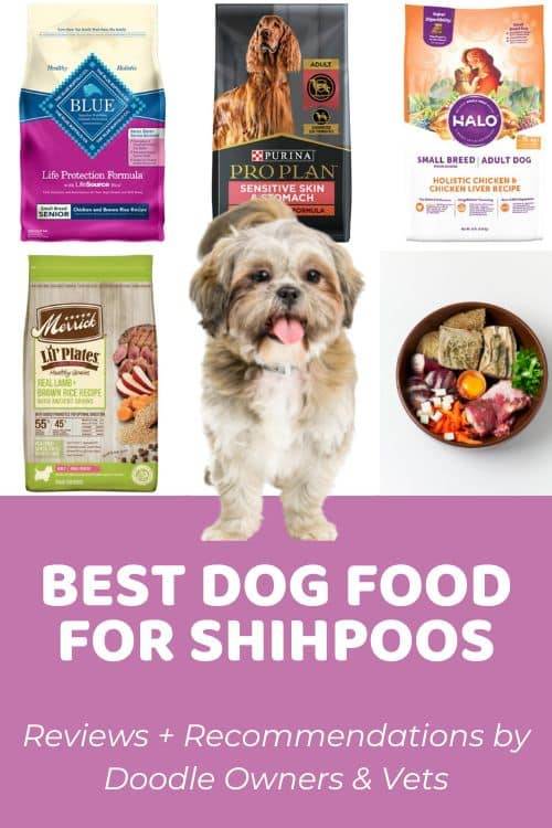 2023’S Top Recommended Dog Foods For Shih Poo: Find The Best Nutrition For Your Furry Companion!