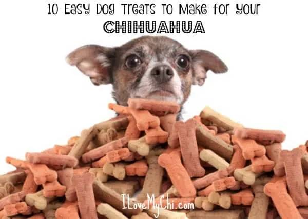 2023’S Top 5 Best Dog Treats For Chihuahua Lovers – Get Ready To Spoil Your Fur Baby!