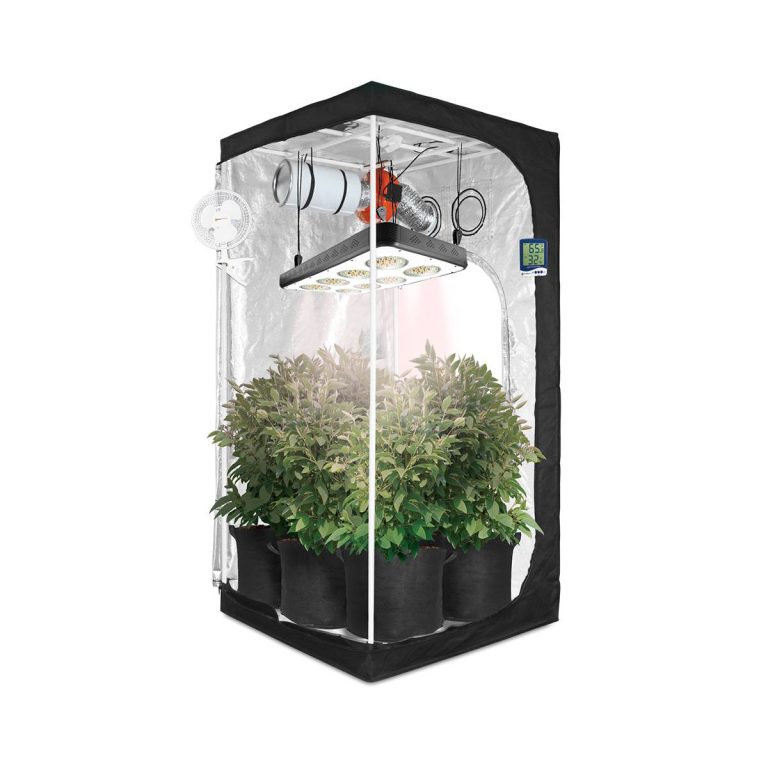 2023 Buyer’S Guide: Find The Best Led Grow Light For Your 3X3 Tent!