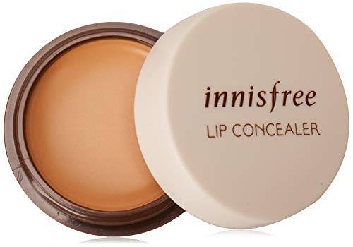 2023’S Best Lip Concealer For Dark Lips: Get Ready To Unlock A Naturally Beautiful Pout!