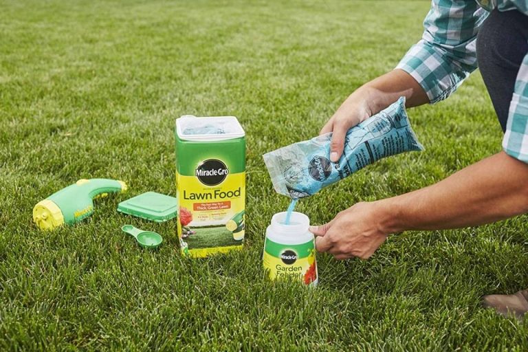 2023 Guide: Discover The Best Liquid Fertilizer For St Augustine Grass!