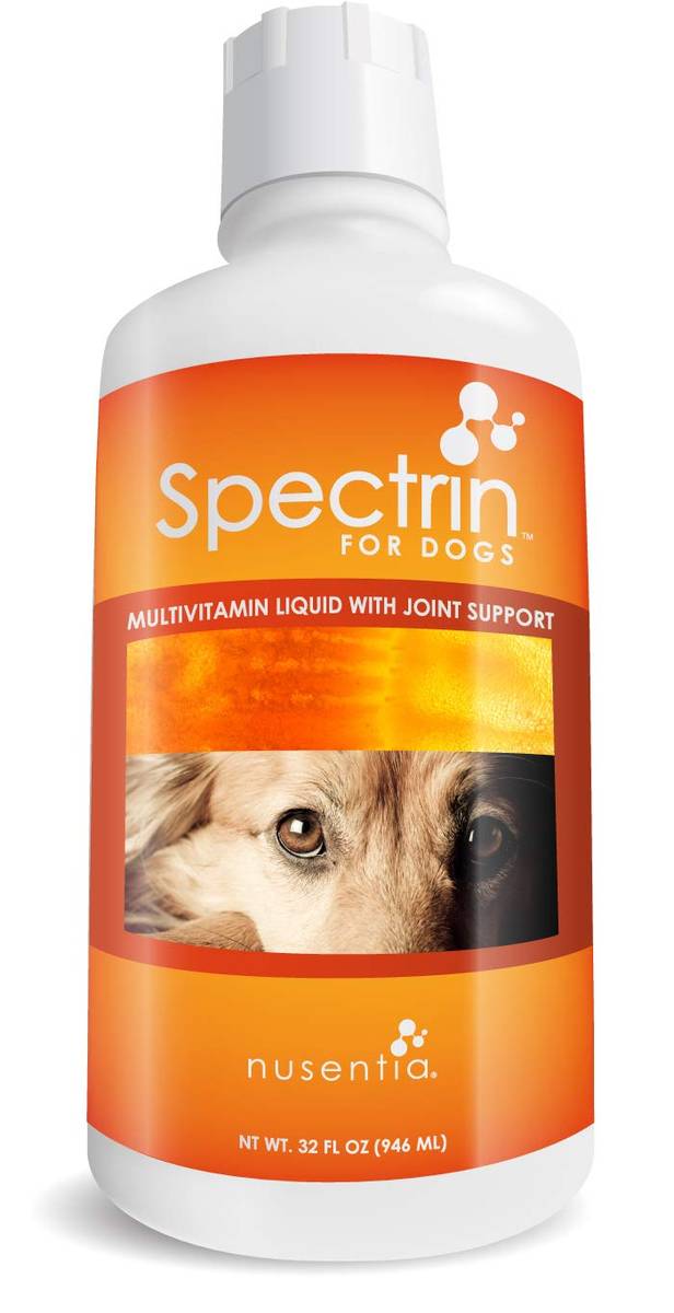 2023’S Top-Rated Liquid Vitamins For Senior Dogs: Keep Your Best Friend Healthy & Happy!