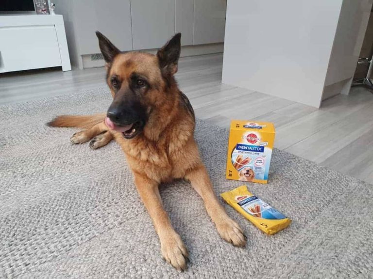 2023’S Top Rated Snacks For German Shepherds: A Comprehensive Guide