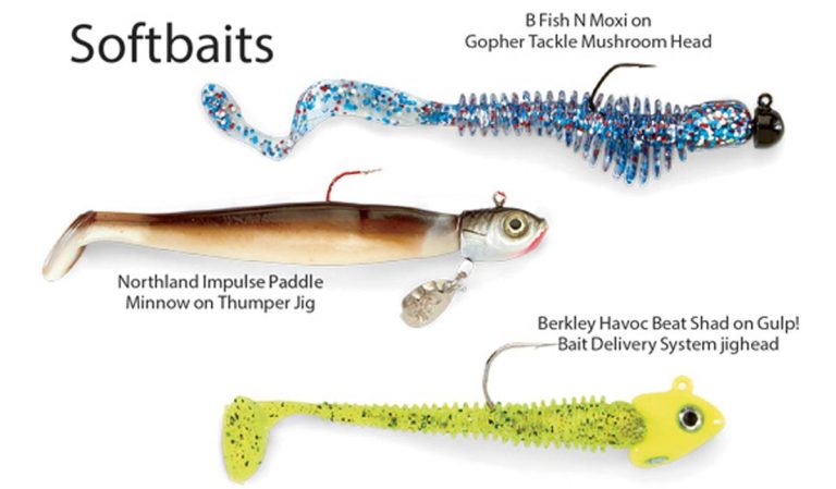 2023 Walleye Fishing: Get Ready With These Top Soft Plastic Lures!