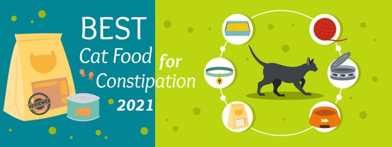 2023 Cat Parent’S Guide: The Best Wet Food For Constipation Relief!