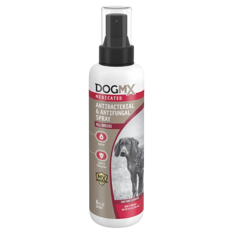 The Definitive Guide To Top Antifungal Sprays For Dogs In 2023: Safeguard Your Pets’ Health!