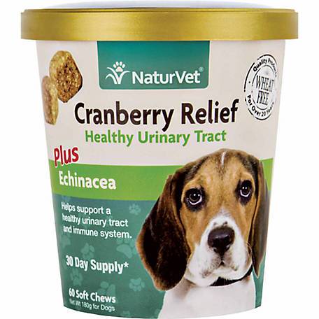 The Top Cranberry Supplements For Dogs: Boost Your Pet’S Health In 2023!