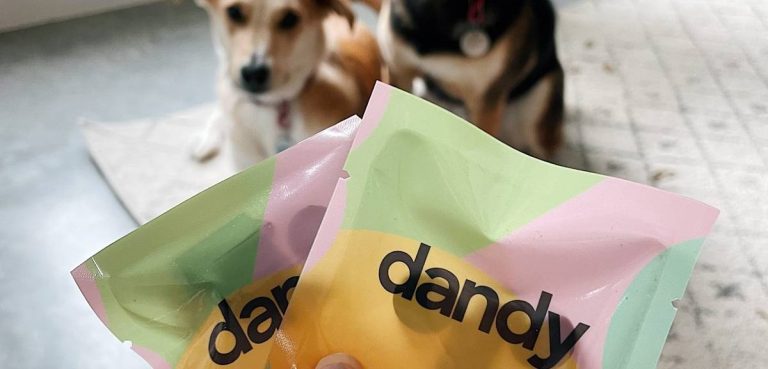 2023’S Top Dog Treats: Deliciously Dandy Snacks Your Pup Will Love!