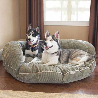 The Ultimate Guide To The Top Dog Bed For Husky Breeds In 2023: Find The Perfect Resting Spot For Your Furry Friend!