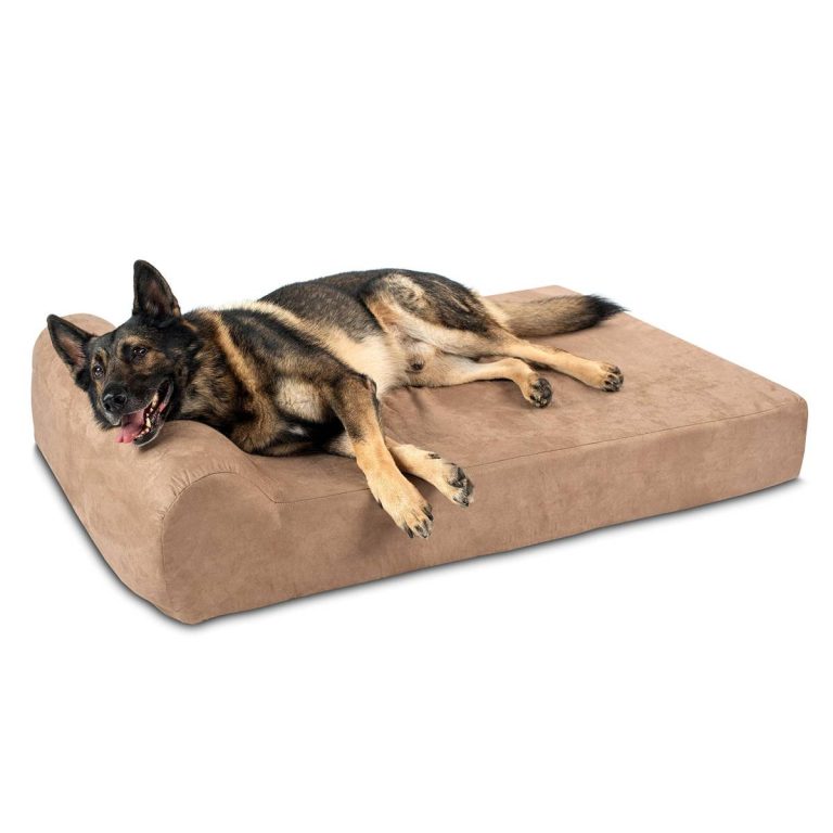 Ultimate Guide: Top Dog Beds For German Shepherds In 2023 – Optimal Comfort And Support