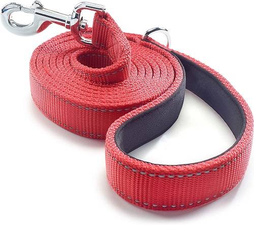 The Top 10 Indestructible Dog Leashes Of 2023: Safeguarding Your Pup’S Playtime!