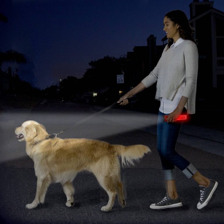 Find The Perfect Light For Dog Walking In 2023: The Best Flashlights For A Safe And Enjoyable Outing