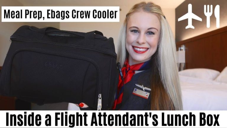 The 2023 Guide To The Best Flight Attendant Lunch Bags: Get Ready For Takeoff!