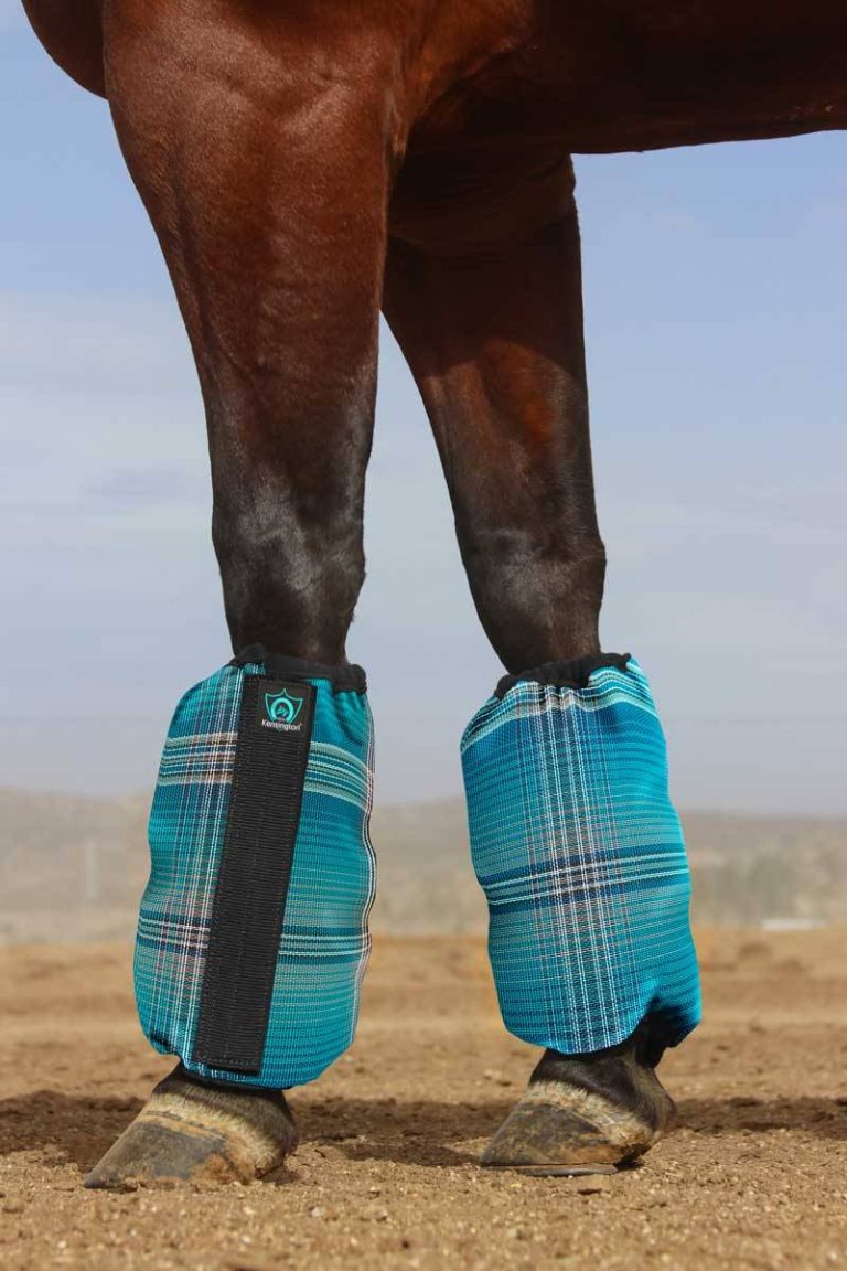 2023’S Top Picks: The Best Fly Boots To Keep Your Horse Happy And Protected