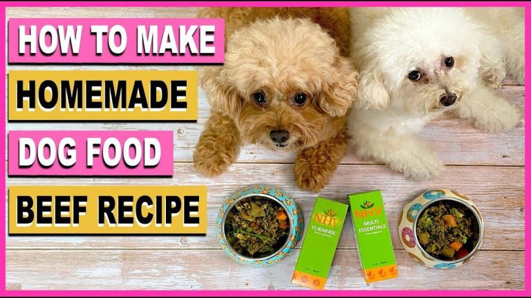 Discover The Top 5 Nutritious Dog Foods For Your Toy Poodle In 2023!