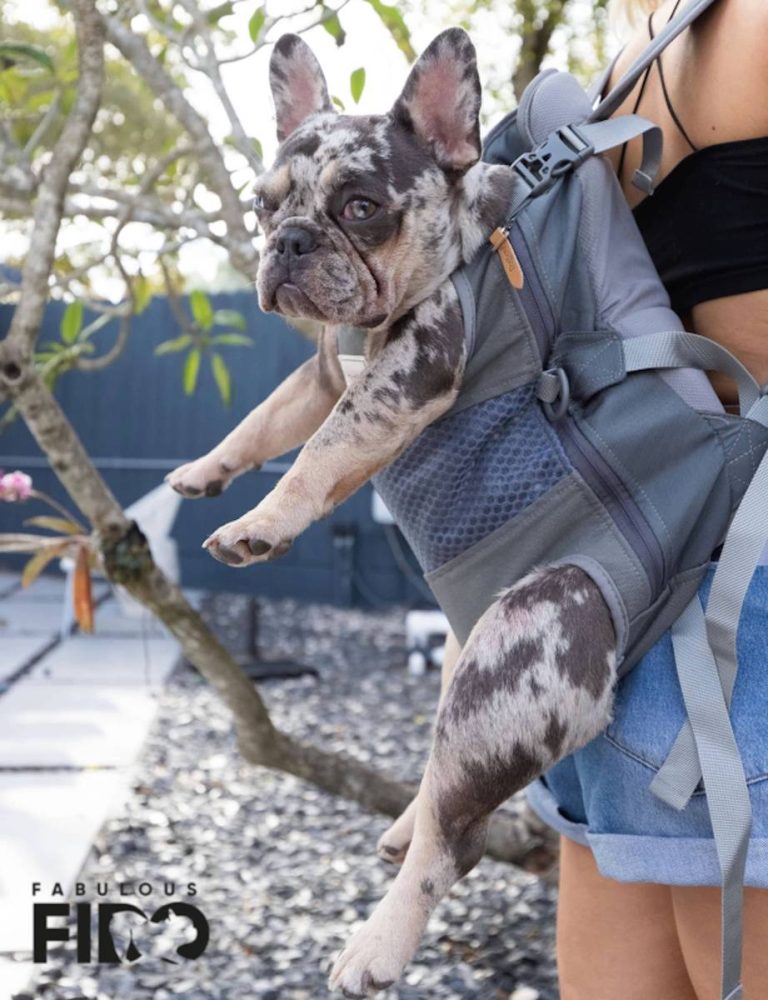 2023’S Best French Bulldog Backpack Carriers: Find The Perfect Fit For Your Furry Friend!