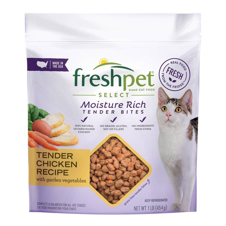 Unveiling 2023’S Finest Fresh Cat Foods: Pamper Your Feline With The Ultimate Nutritious Delights!