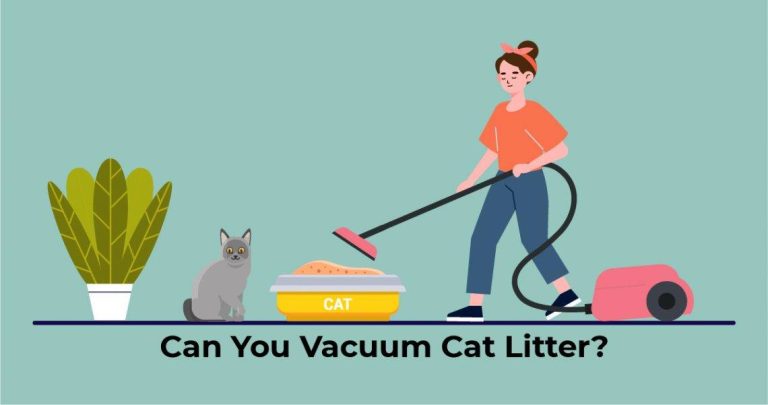 Top 10 Cat Litter Handheld Vacuums Of 2023: Say Goodbye To Mess – Ultimate Buyer’S Guide!