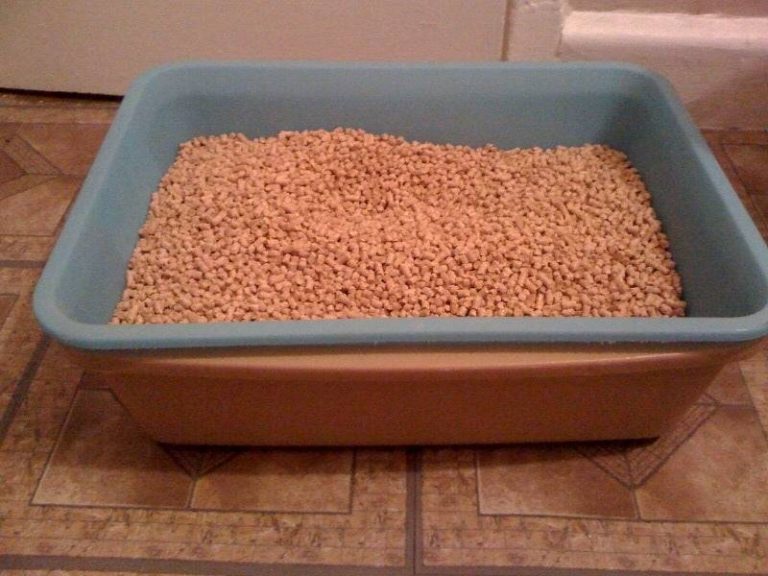 2023’S Best Litter Box For Pine Pellets: A Comprehensive Buyer’S Guide!