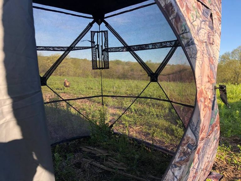 The Ultimate Guide To 2023’S Top See-Through Ground Blinds: Unveiling The Best Options For Exceptional Hunting Experience