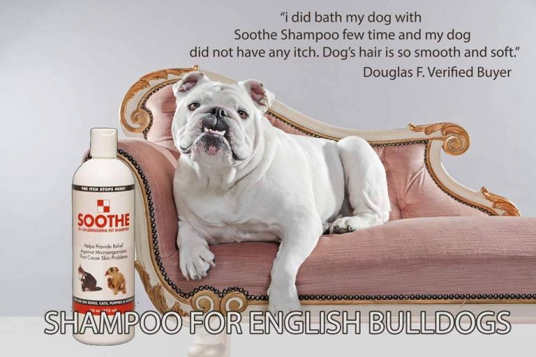 Top 10 English Bulldog Shampoos For 2023: Discover The Ultimate Haircare Solutions!