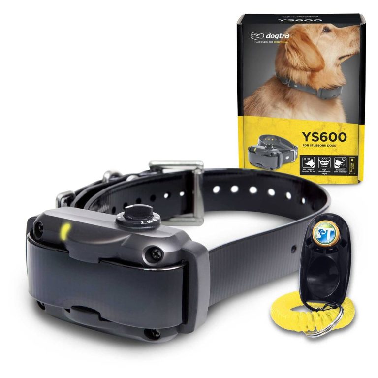 The Top Shock Collars For Big Stubborn Dogs In 2023: Unleash Effective Training & Control