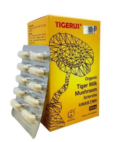 Boost Immunity & Vitality: Top Tiger Milk Mushroom Supplements 2023