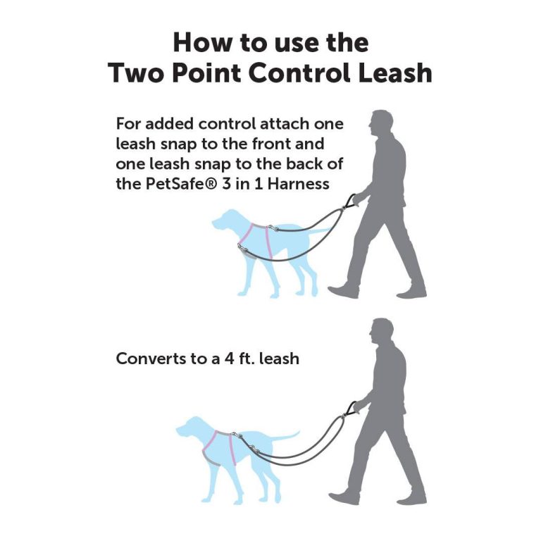 2023’S Top-Rated Two Point Control Leashes: The Perfect Solution For Keep Your Dog Safe And Secure!