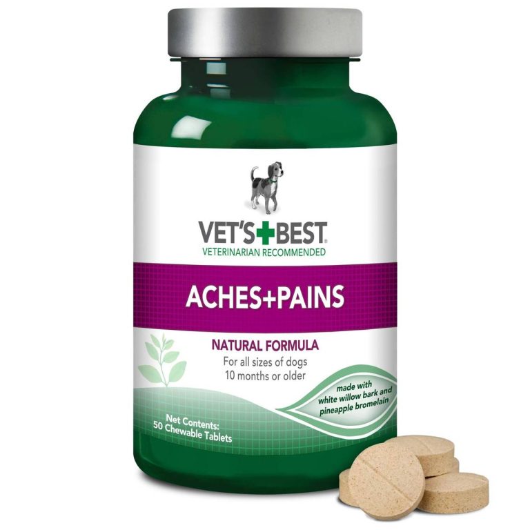 The Ultimate Guide: Top Vet-Recommended Aches & Pains Remedies For Dogs In 2023