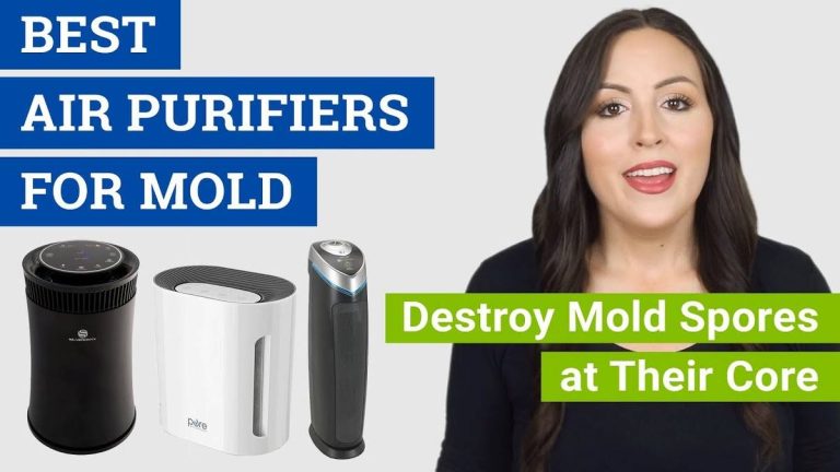 The Ultimate 2023 Guide: Unveiling The Best Air Purifier For Mold – Say Goodbye To Allergens!