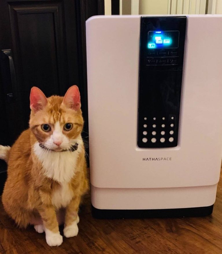 The Ultimate Pet-Friendly Air Purifier Guide | Top 5 Picks For 2023