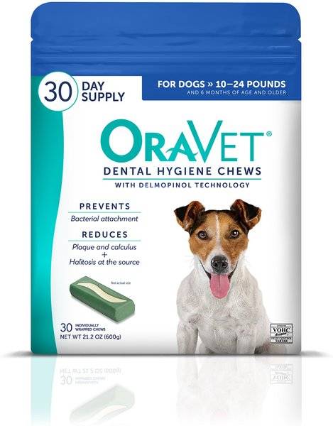 Top 10 Dental Chews For Dogs 2023: Expert Recommendations For Sparkling Canine Smiles!