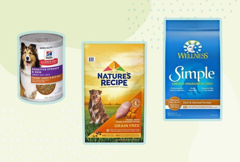 Top 10 Dog Foods For Skin Allergies In 2023: Vet-Approved Solutions For A Healthier Canine Coat!