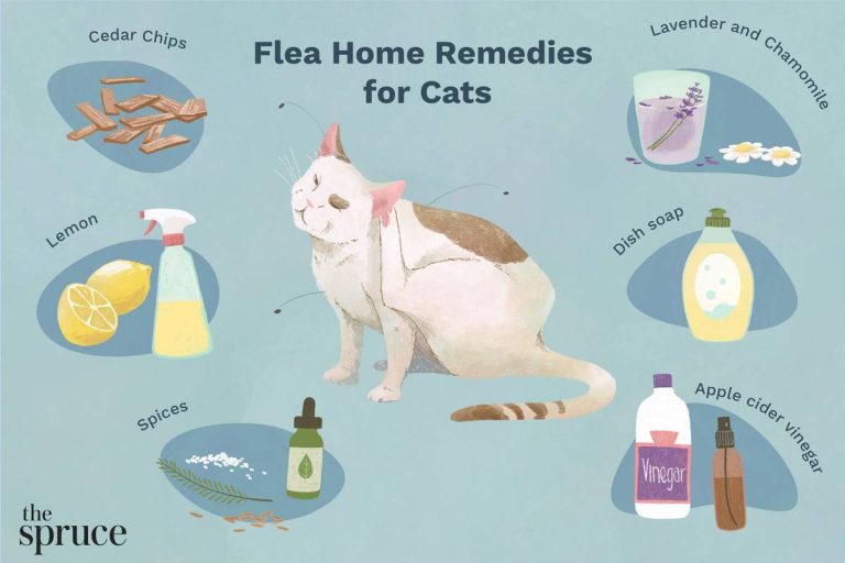 Top 10 Flea Medicines For Cats In 2023: Expert Recommendations & Reviews!